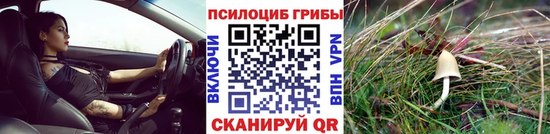 купить  цена  KRAKEN   Псилоцибиновые грибы Cubensis  Лахденпохья 
